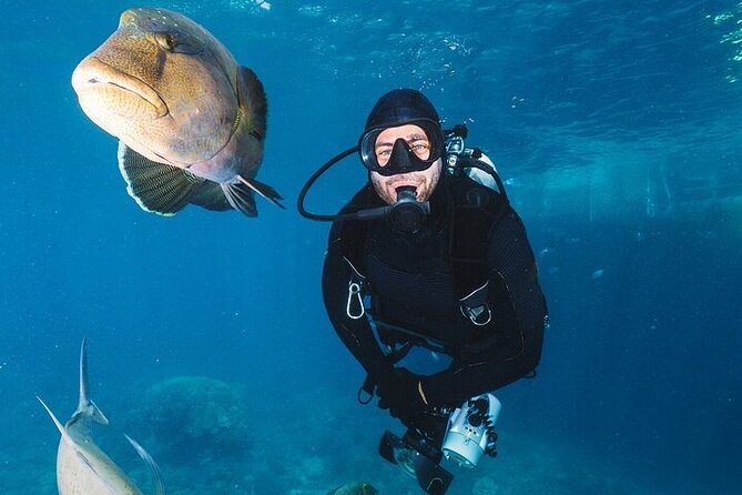 Professional Diver Two Stops Dives & Lunch, transfer–Hurghada - Safety, comfort, and who should choose it
