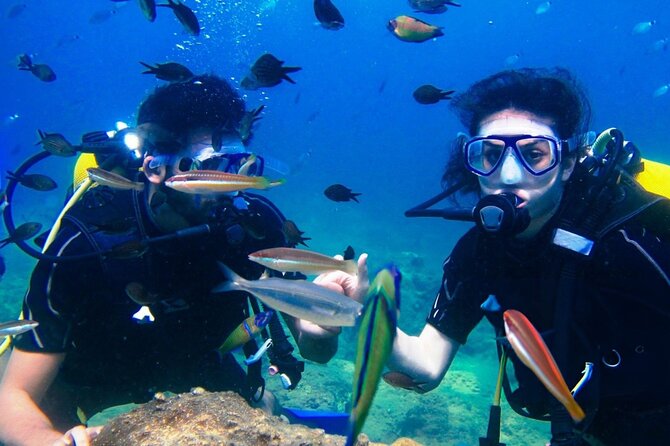 Professional Diver Two Stops Dives & Lunch, transfer–Hurghada - First stop: your introduction to the Red Sea reefs