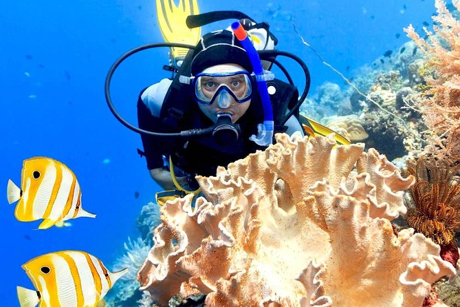 Professional Scuba Diving Boat Trip With Lunch and Transfer – Hurghada - What the $28 price really includes