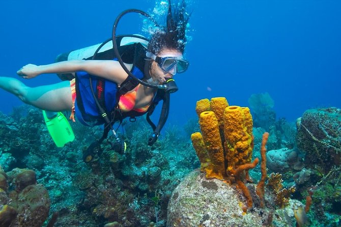 Professional Scuba Diving Boat Trip With Lunch and Transfer – Hurghada - Practical preparation for a better day