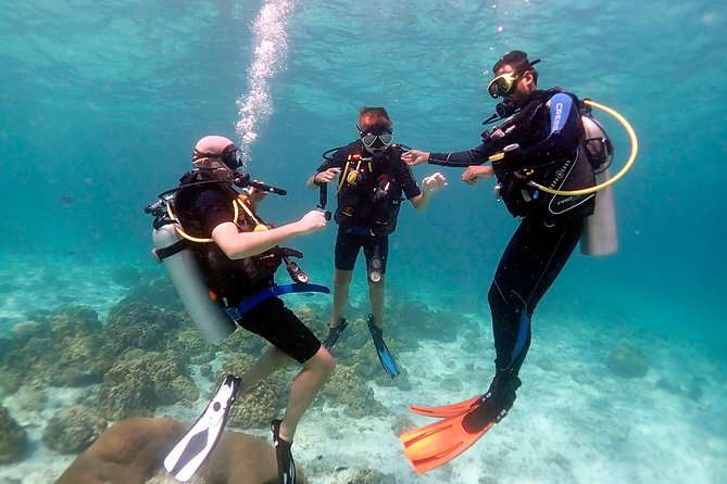 Professional Scuba Diving Full Day Trip With Transfer – Hurghada - Key points to know before you book