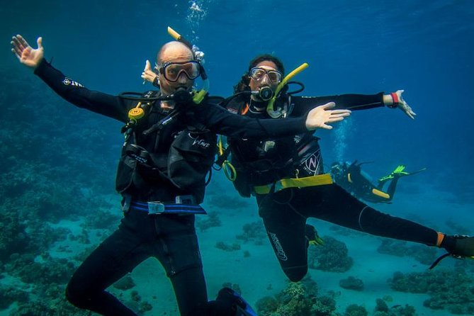 Professional Scuba Diving Full Day Trip With Transfer – Hurghada - 8:00 am pickup and the ride to the marina