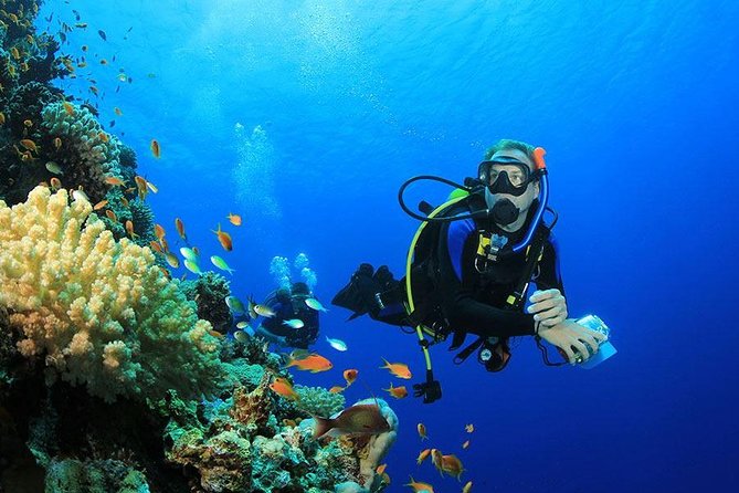 Professional Scuba Diving Full Day Trip With Transfer – Hurghada - The first underwater stop
