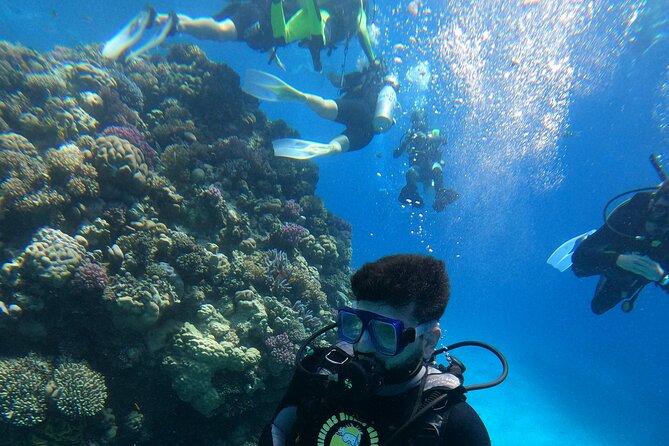 Professional Scuba Diving Trip in Hurghada with Lunch - The morning pickup and boat departure