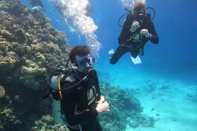 Professional Scuba Diving Trip in Hurghada with Lunch - The first Red Sea site