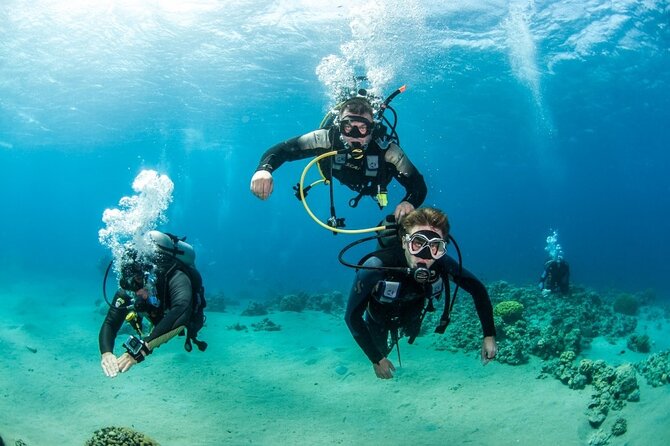 Professionals Scuba Diving 2 Stops Full Day Sea Trip - Hurghada - What happens from the 8 am pickup onward