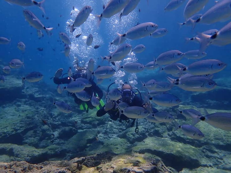 Protaras: Cape Grecko Single Dive for Qualified Divers - Starting at Taba Diving Centre in Protaras