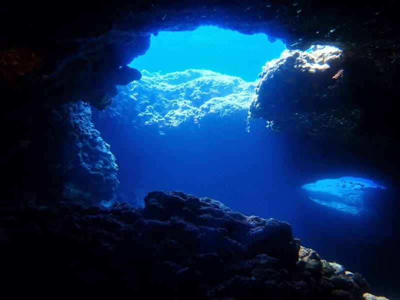 Protaras: Cape Grecko Single Dive for Qualified Divers - Who should book this experience