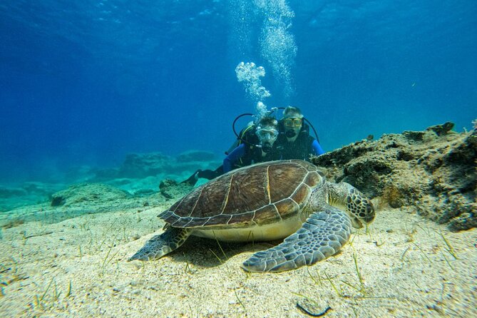 Protaras: Discover Scuba Diving For Beginners 2 Dives - What your day at Green Bay looks like