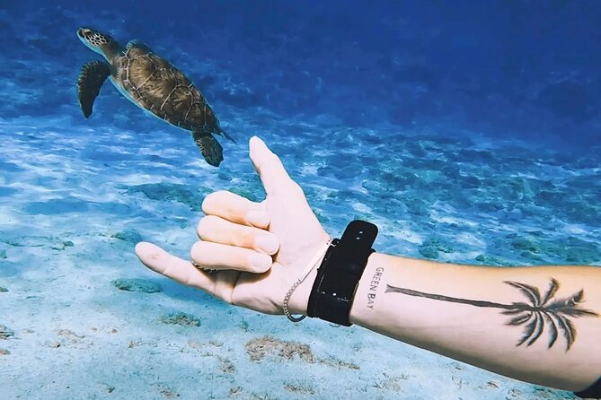 Protaras: Discover Scuba Diving For Beginners 2 Dives - Why the instruction matters more than the scenery