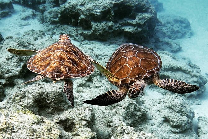 Protaras: Discover Scuba Diving For Beginners 2 Dives - Who will get the most from this experience