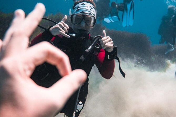 Protaras: Discover Scuba Diving For Beginners 2 Dives - The break gives you a useful reset