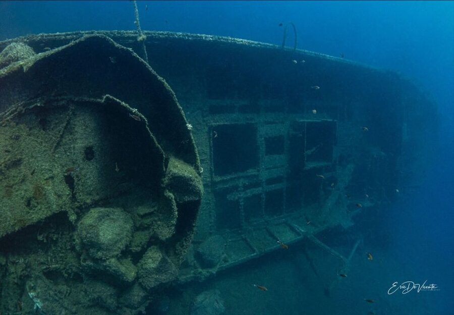Puerto del Carmen: 2 Guided Scuba Dives (certified only) - What the protected reserve adds