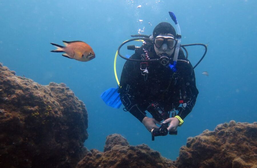 Puerto del Carmen: Guided Scuba Dive (certified only) - What the underwater session is like