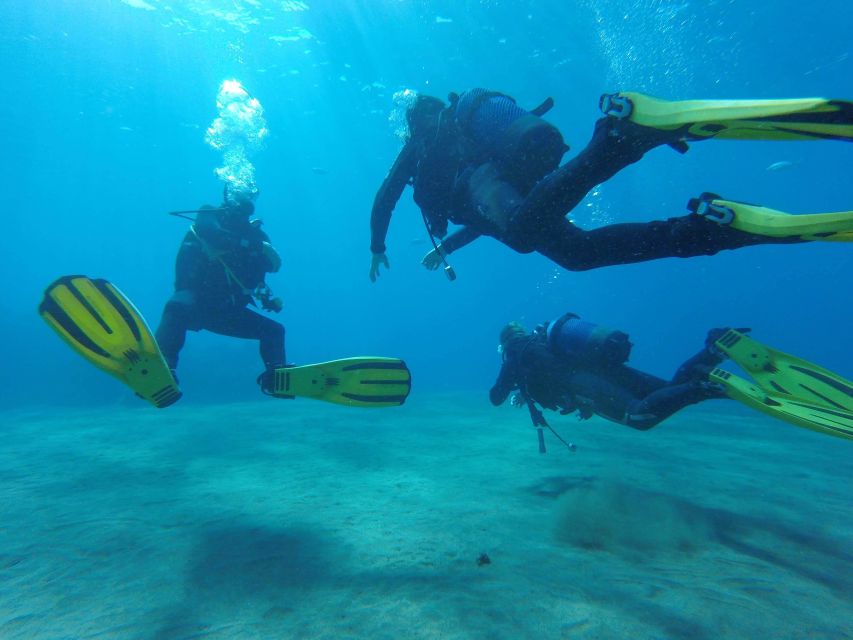 Puerto del Carmen: Try Scuba Diving for Beginners - What $94 gets you