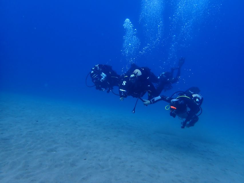 Puerto del Carmen: Try Scuba Diving from the beach - Why Playa Chica works so well for a first scuba outing