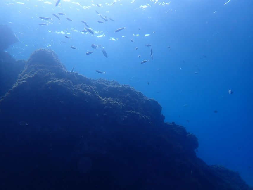 Puerto del Carmen: Try Scuba Diving from the beach - How this suits different kinds of visitors