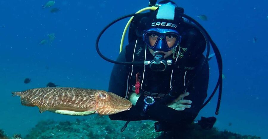 Puerto Del Carmen: Try Scuba Diving with 2 Dives and Photos - A gentle first step into Lanzarote’s underwater world