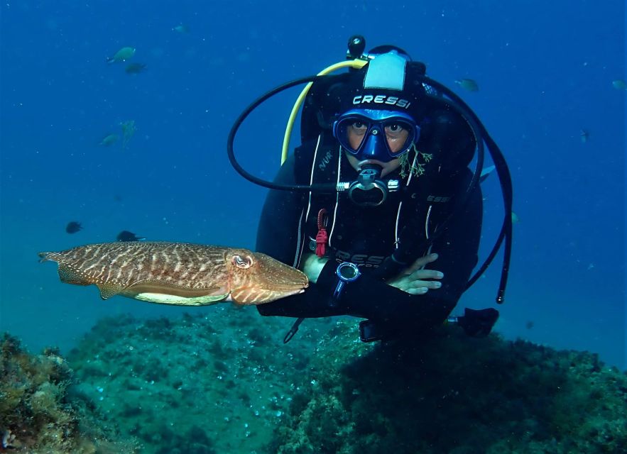 Puerto Del Carmen: Try Scuba Diving with 2 Dives and Photos - What happens before you enter the water