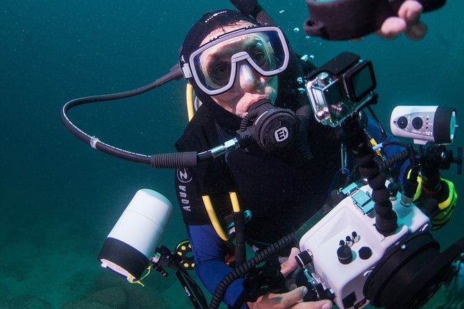 Puerto Vallarta Undersea Private Scuba Diving - A private morning on Puerto Vallarta’s water