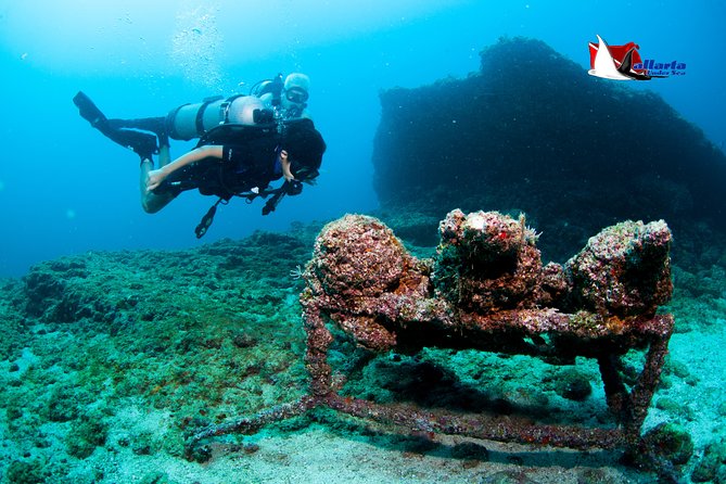 Puerto Vallarta Undersea Private Scuba Diving - The crew makes the biggest difference