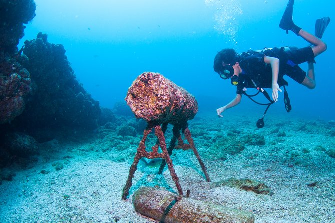 Puerto Vallarta Undersea Private Scuba Diving - What beginners should expect