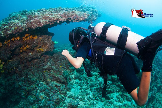 Puerto Vallarta Undersea Private Scuba Diving - Who should book this Puerto Vallarta outing?
