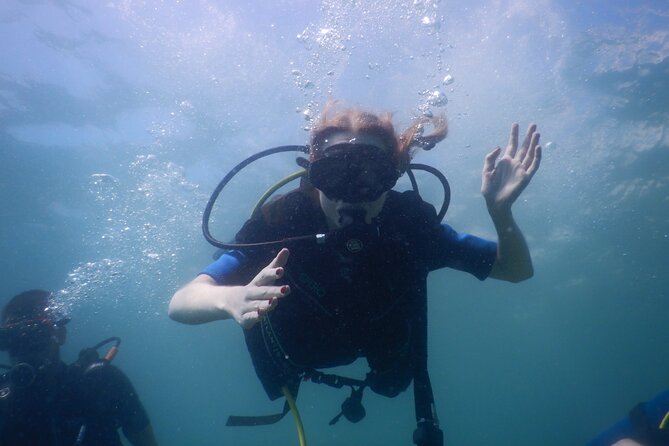 Pula Discover Scuba Diving Package - Starting at Park Plaza Histria at 10 am