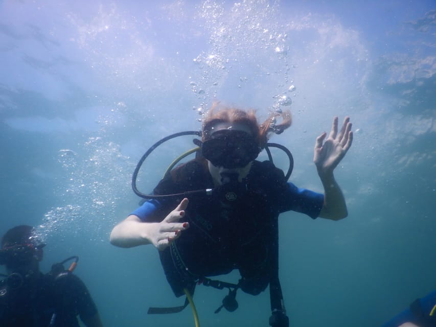 Pula: Introduction to Scuba Diving - Language, timing, and weather considerations