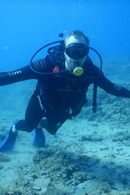 Pula: Private Introduction to Scuba Diving - Meeting at Verudela 17 in Pula