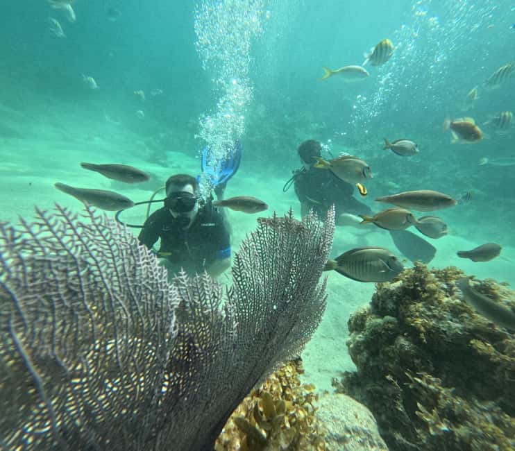 Punta Cana: Discover Scuba Diving Experience for Beginners - A gentle first step into scuba near Punta Cana