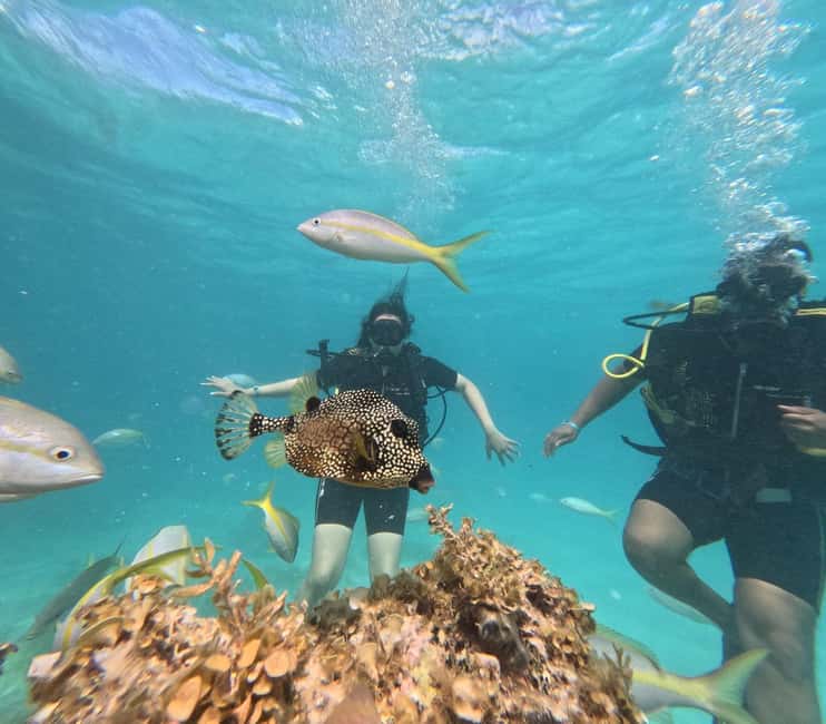 Punta Cana: Discover Scuba Diving Experience for Beginners - Shallow-water practice builds confidence