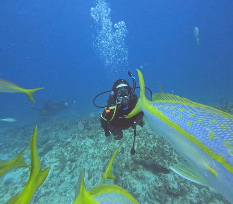 Punta Cana: Discover Scuba Diving Experience for Beginners - What $95 includes, and what it does not