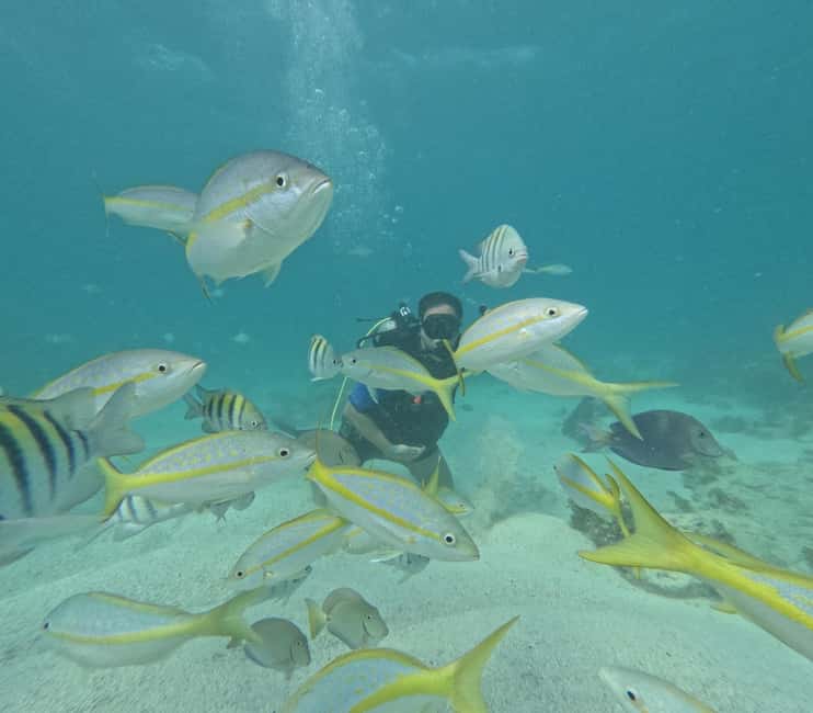 Punta Cana: Discover Scuba Diving Experience for Beginners - Poolside lessons before the open water