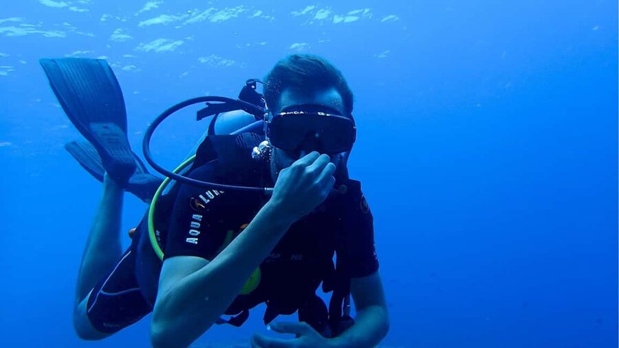 Punta Cana: Dive the Coral Paradise of Catalina Island - Why El Acuario works for beginners and snorkelers