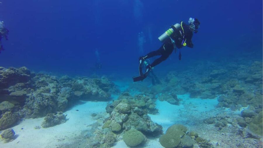 Punta Cana: Dive the Coral Paradise of Catalina Island - How the group pace may affect your day
