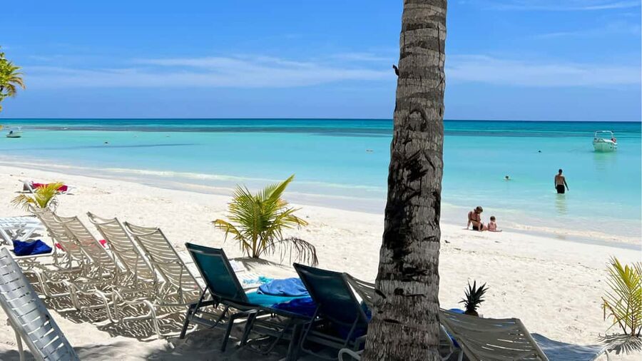 Punta Cana: Dive the Coral Paradise of Catalina Island - What happens at El Muro