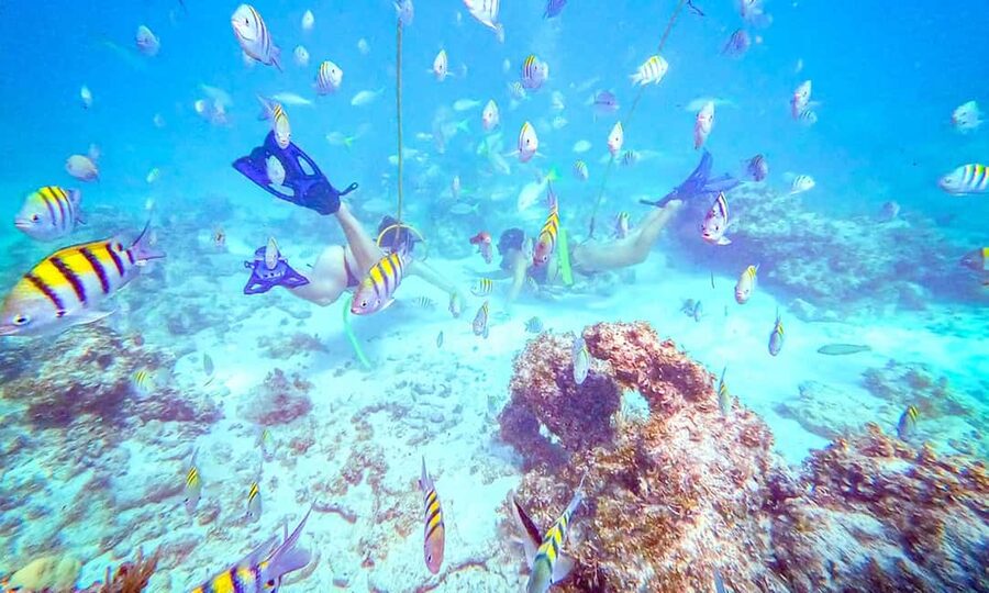 Punta Cana: Guided Power Dive Adventure - Key points to know before booking