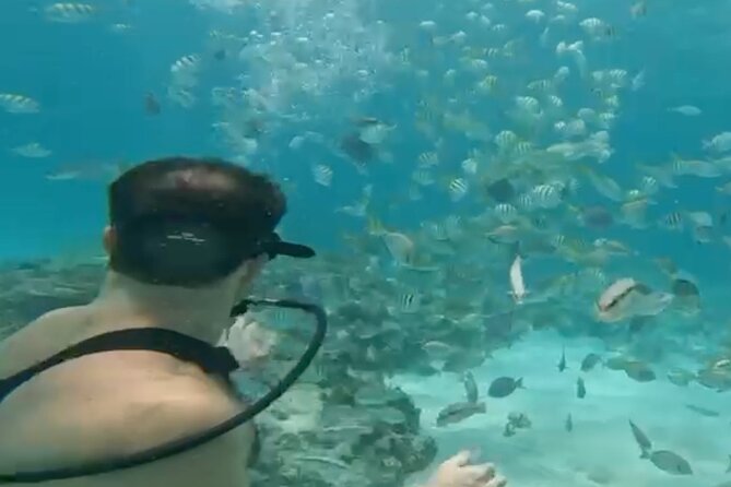 Punta Cana Party Cruise with Snorkeling, Hooka Diving and Parasailing - Hooka underwater time for first-timers