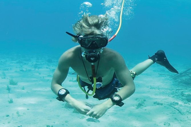 Punta Cana Party Cruise with Snorkeling, Hooka Diving and Parasailing - What the $140 price really covers