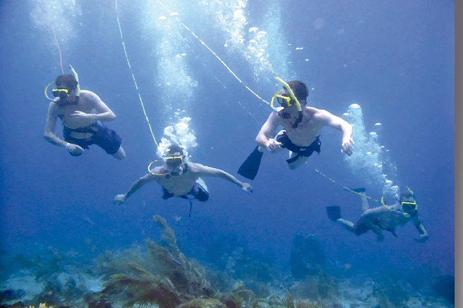 Punta Cana Party Cruise with Snorkeling, Hooka Diving and Parasailing - Booking and cancellation details