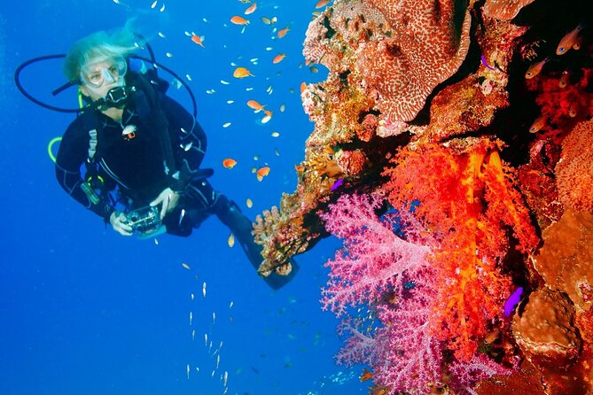Punta Cana Reef Diving Adventure Explore Underwater Wonders - SCUBA, snorkeling, and hookah options