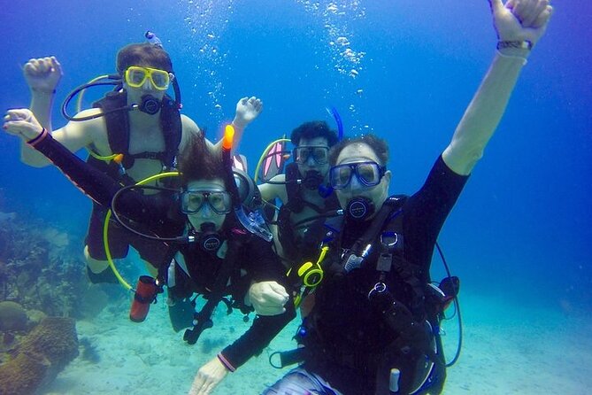 Punta Cana Reef Diving Adventure Explore Underwater Wonders - Guides matter most if you are new to SCUBA