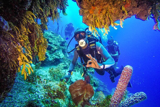 Punta Cana Reef Diving Adventure Explore Underwater Wonders - Who will enjoy this coastal adventure