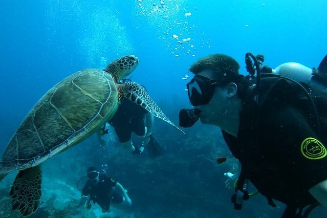 Punta Cana Reef Diving Adventure Explore Underwater Wonders - The catamaran ride adds more than transport