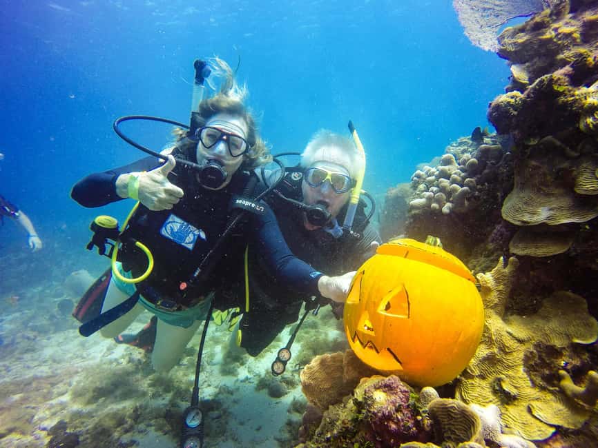 Punta Cana: Scuba Diving Adventure to Catalina Island - First underwater stop: The Wall