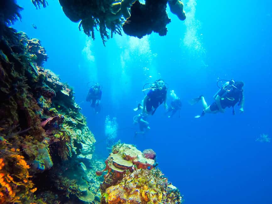 Punta Cana: Scuba Diving Adventure to Catalina Island - Timing, weather, and what to pack