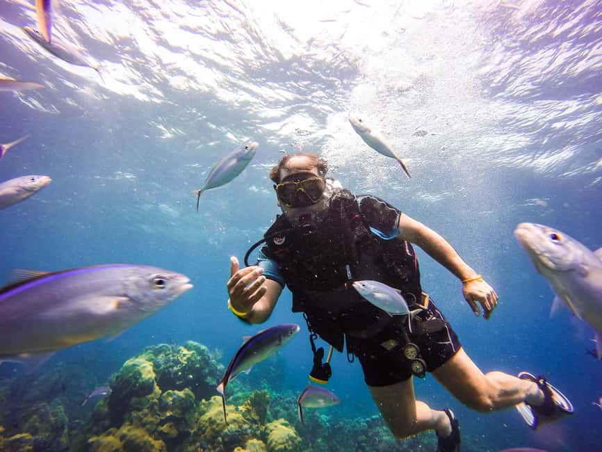 Punta Cana: Scuba Diving Adventure to Catalina Island - Meeting the PADI-certified team at the marina