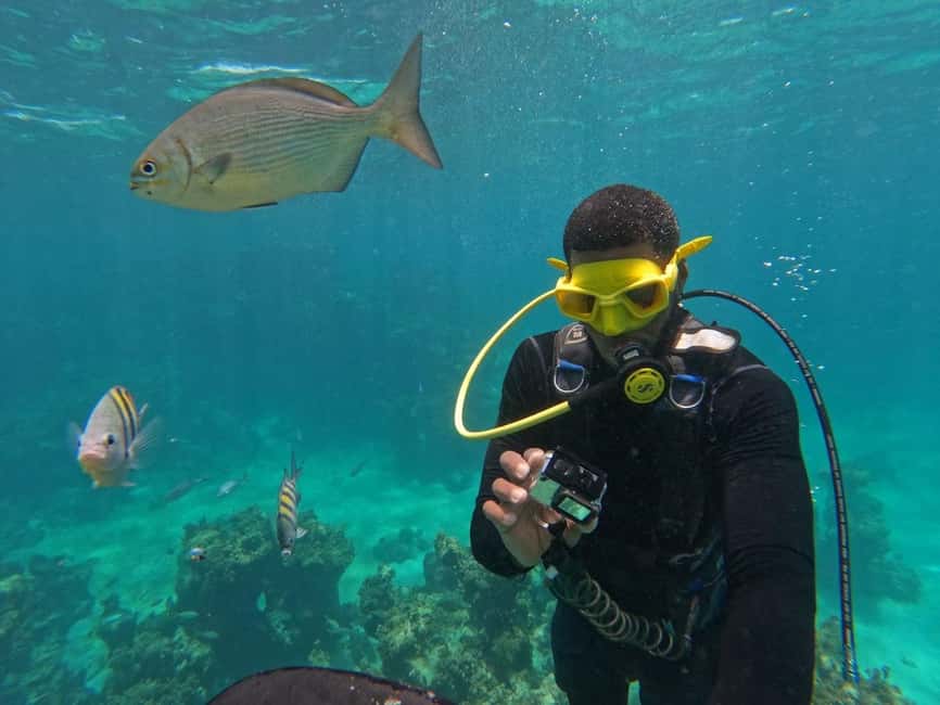 Punta Cana: Scuba Doo Adventure with Round-Trip Transfer - How to make the most of your morning