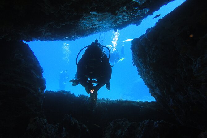 Qualified Diver 1 Tank Dive in Mykonos - Morning and afternoon timing